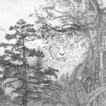 Drawing titled "La Vallée du Tigre" by Jean Paul Boyer, Original Artwork, Pencil