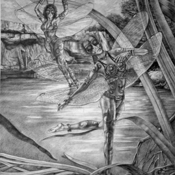 Drawing titled "Les Libellules" by Jean Paul Boyer, Original Artwork, Pencil