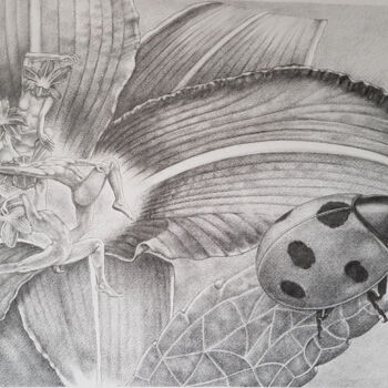 Drawing titled "coccinelle.jpg" by Jean Paul Boyer, Original Artwork