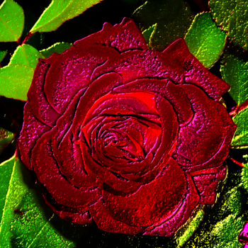 Fotografía titulada "p1010943-rose-2a.jpg" por Jean-Paul Martin, Obra de arte original