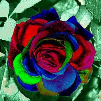 Photography titled "p1010943-rose-9.jpg" by Jean-Paul Martin, Original Artwork