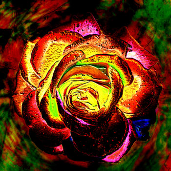 Фотография под названием "p1010943-rose-76.jpg" - Jean-Paul Martin, Подлинное произведение искусства
