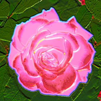 Photography titled "p1010943-rose-105.j…" by Jean-Paul Martin, Original Artwork