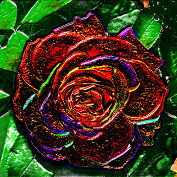 Photographie intitulée "p1010943-rose-124.j…" par Jean-Paul Martin, Œuvre d'art originale