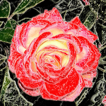 Photography titled "p1010943-rose-144.j…" by Jean-Paul Martin, Original Artwork