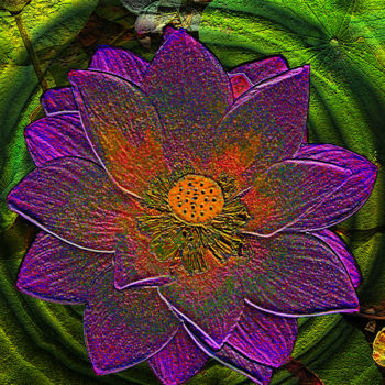 Fotografía titulada "257b10-lotus.jpg" por Jean-Paul Martin, Obra de arte original