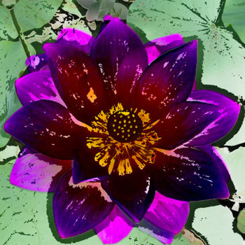 Photographie intitulée "257b13-lotus.jpg" par Jean-Paul Martin, Œuvre d'art originale