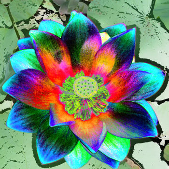 Photographie intitulée "257b14-lotus.jpg" par Jean-Paul Martin, Œuvre d'art originale