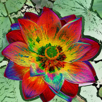 Fotografia intitulada "257b29-lotus.jpg" por Jean-Paul Martin, Obras de arte originais