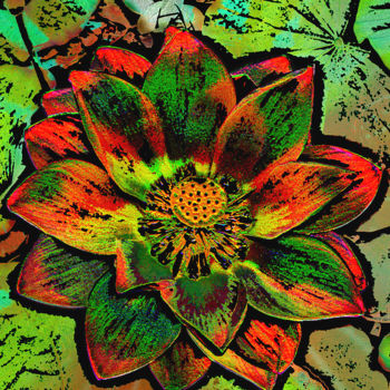 Photographie intitulée "257b53-lotus.jpg" par Jean-Paul Martin, Œuvre d'art originale