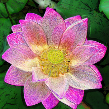 Фотография под названием "257b61-lotus.jpg" - Jean-Paul Martin, Подлинное произведение искусства