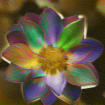 Photography titled "257b69-lotus.jpg" by Jean-Paul Martin, Original Artwork