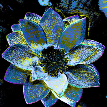 Photography titled "257b76-lotus.jpg" by Jean-Paul Martin, Original Artwork
