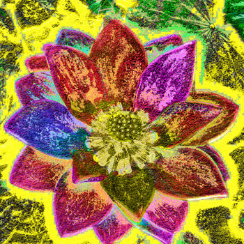 Photography titled "257b78-lotus.jpg" by Jean-Paul Martin, Original Artwork