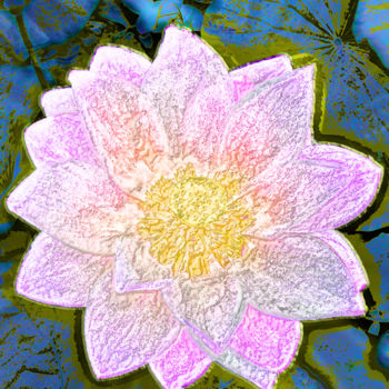 Fotografie mit dem Titel "257b79-lotus.jpg" von Jean-Paul Martin, Original-Kunstwerk