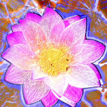 Photographie intitulée "257b81-lotus.jpg" par Jean-Paul Martin, Œuvre d'art originale