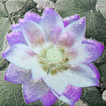 Photography titled "257b84-lotus.jpg" by Jean-Paul Martin, Original Artwork