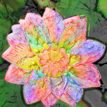 Fotografía titulada "257b88-lotus.jpg" por Jean-Paul Martin, Obra de arte original
