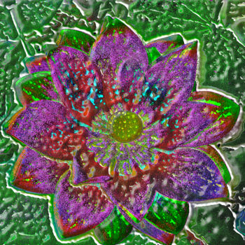 Photography titled "257b100-lotus.jpg" by Jean-Paul Martin, Original Artwork