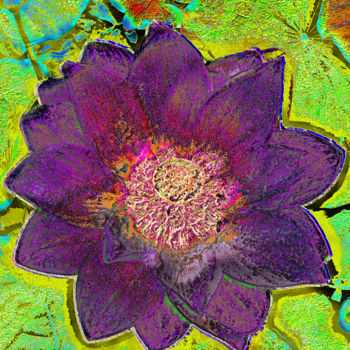 Photography titled "257b101-lotus.jpg" by Jean-Paul Martin, Original Artwork