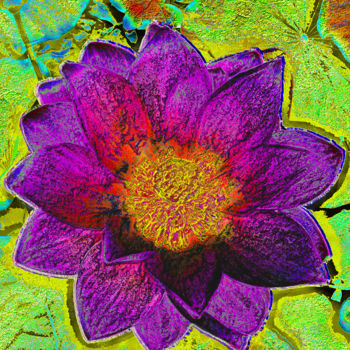 Photography titled "257b105-lotus.jpg" by Jean-Paul Martin, Original Artwork