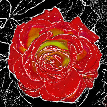 Digital Arts titled "rose-148" by Jean-Paul Martin, Original Artwork, 2D Digital Work