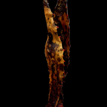Скульптура под названием "Fusion" - Jean-Pierre Beillard, Подлинное произведение искусства, Дерево