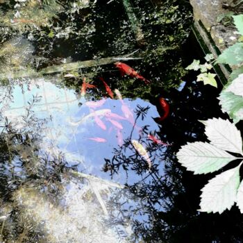 Photographie intitulée "Les poissons rouges" par Jean-Pierre Duquaire, Œuvre d'art originale, Photographie numérique