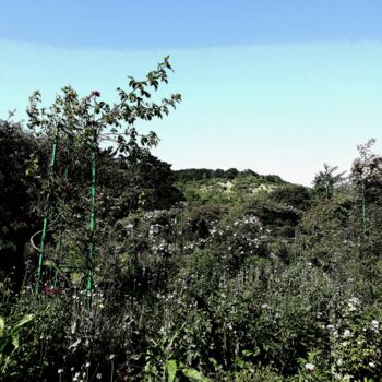 Photographie intitulée "Giverny" par Jean-Pierre Duquaire, Œuvre d'art originale, Photographie numérique