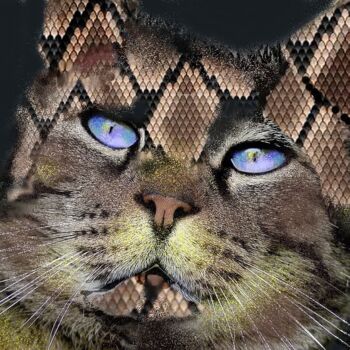 Digital Arts titled "Chat fouin  !!!!" by Jean Pierre Poveda, Original Artwork, Digital Painting