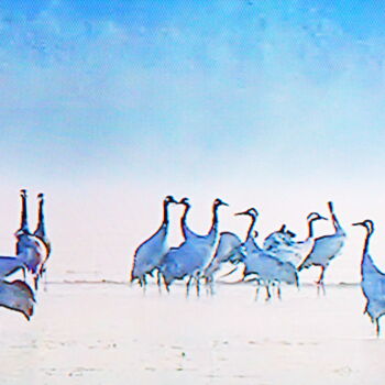 Photographie intitulée "les oiseaux et leur…" par Jean-Pierre Tastevin, Œuvre d'art originale, Photographie numérique