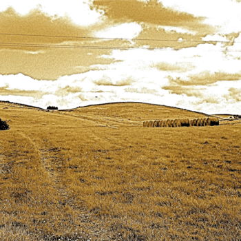 Photography titled "aubrac des champs" by Jean-Pierre Simard, Original Artwork, Digital Photography