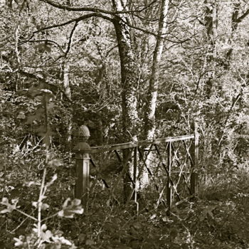 Photographie intitulée "barrière revisitée.…" par Jean-Pierre Simard, Œuvre d'art originale, Photographie manipulée