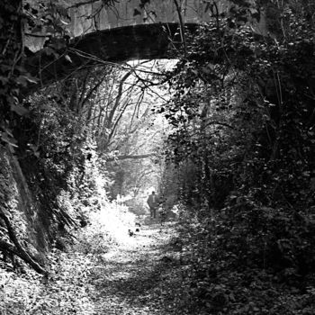 "chemin de lumière.j…" başlıklı Fotoğraf Jean-Pierre Simard tarafından, Orijinal sanat, Dijital Fotoğrafçılık