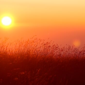 Photographie intitulée "Sunrise on the plain" par Jean Ponomarevsky, Œuvre d'art originale, Photographie numérique