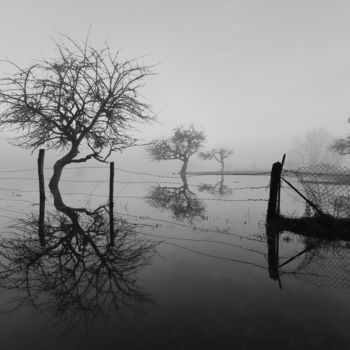 Fotografia intitolato "Marais de Saône, sé…" da Jrlonghi Photographie, Opera d'arte originale, Fotografia digitale