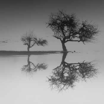 Fotografia intitolato "Marais de Saône, sé…" da Jrlonghi Photographie, Opera d'arte originale