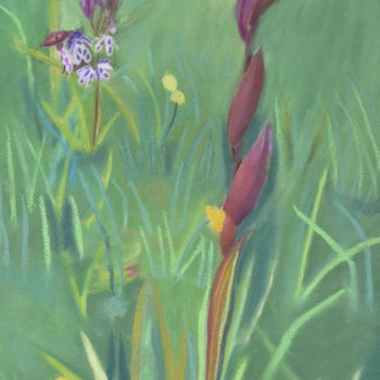 Malarstwo zatytułowany „Orchidées” autorstwa Jean Seunes, Oryginalna praca, Pastel