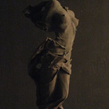 Sculptuur getiteld "plastic allegory 8" door Jean-Yves Verne, Origineel Kunstwerk, Mixed Media