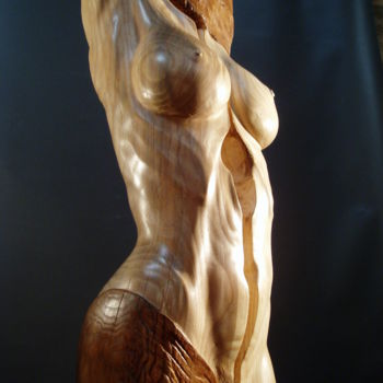 Sculpture titled "drapee1-3.jpg" by Jean-Charles Ferrand, Original Artwork, Wood