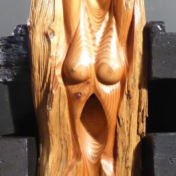 Escultura intitulada "Pirogue" por Jean-Charles Ferrand, Obras de arte originais, Madeira
