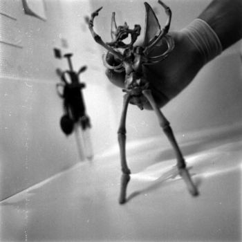 Photography titled "Fairy skeleton" by Jean Erick De Hyères De Hyères, Original Artwork