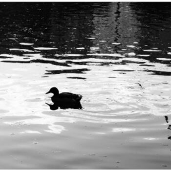 Photographie intitulée "La solitude du cana…" par Jeanjeandenice " Jjdn ", Œuvre d'art originale