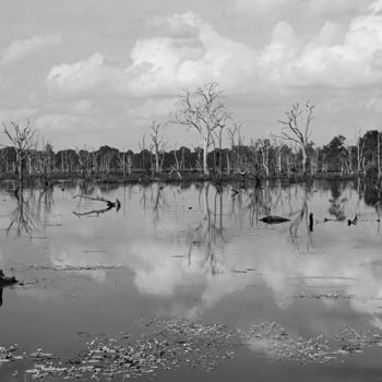 Photographie intitulée "Aquatisme - Angkor,…" par Jean-Marc Renaudie, Œuvre d'art originale