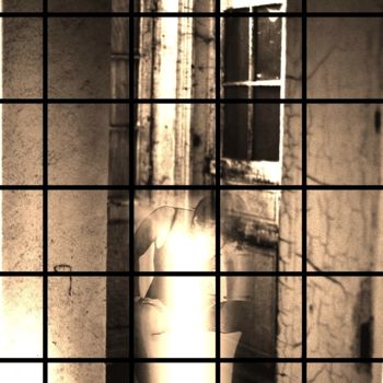 Photography titled "Prisonnière" by Jean Mary Coulon, Original Artwork, Analog photography