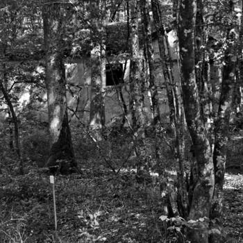 Fotografie mit dem Titel "Série Forêts 6" von Jean-Michel Armand, Original-Kunstwerk, Digitale Fotografie