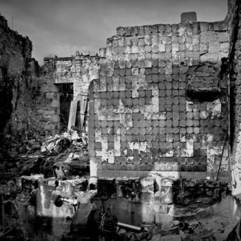 Fotografie mit dem Titel "Ruine à ciel ouvert" von Jean-Michel Armand, Original-Kunstwerk