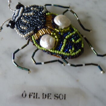 手工艺品 标题为“broche insecte” 由Jeanne Gabriel, 原创艺术品, 胸针