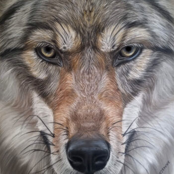 Painting titled "Loup" by Jeanne Gisclard, Original Artwork, Pastel