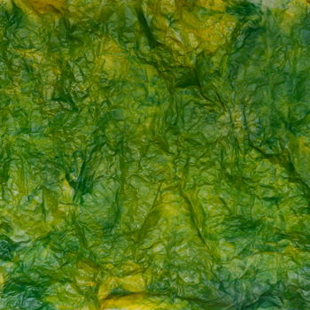 Painting titled "L'OR VERT D'AMAZONIE" by Jeannette Allary, Original Artwork, Ink